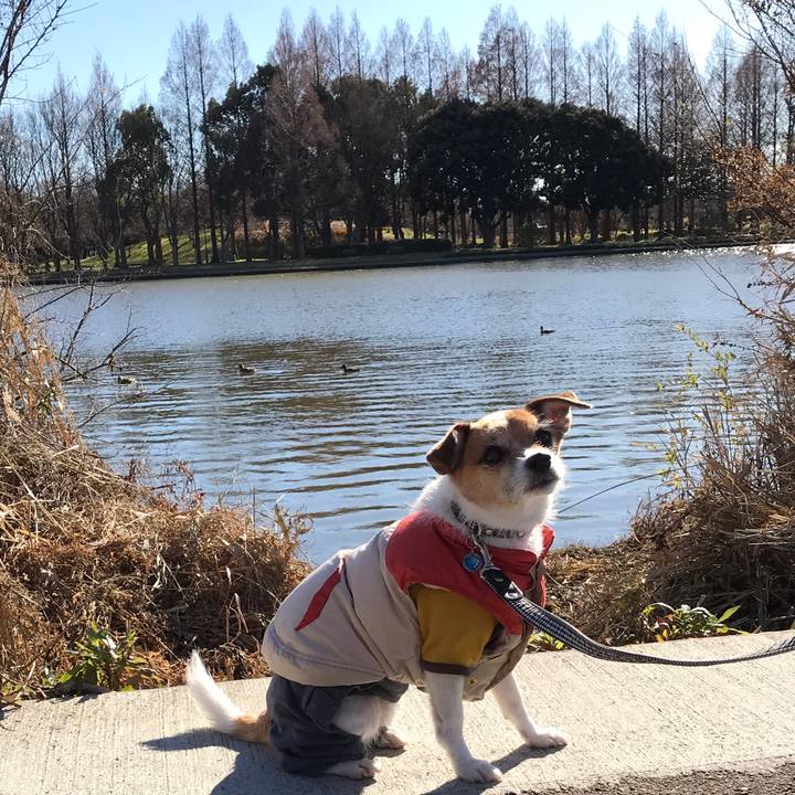 65b1ea2c e49e 4db2 99c2 f3bb5ea9fffe 1546140605135