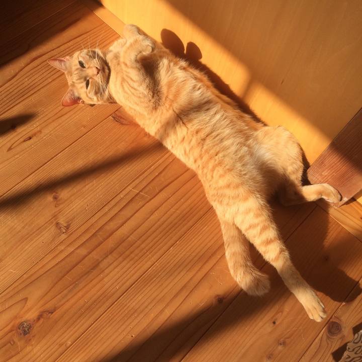 65b20060 7709 4cb4 af86 0d31cd2de512 1520987235114