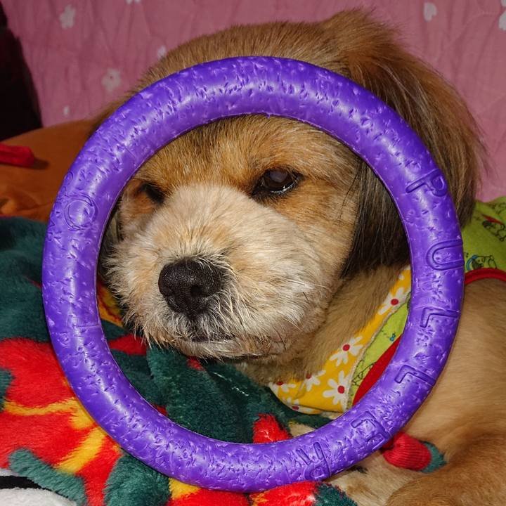 65b226a0 1b1b 475d 91bf 043d8703e8c1 1553782902037