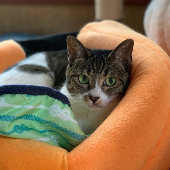 65b28f1c 3ba9 4d98 82af bb39b570ad43 1563671785023