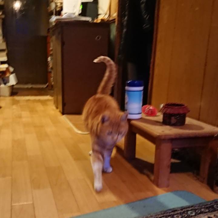 65b2a42d 3645 41fb 9519 09e975d1022f 1582793608928