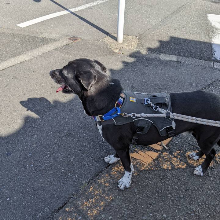 65b2d2a6 d762 4356 a9ce 41978c7e415a 1654044535134