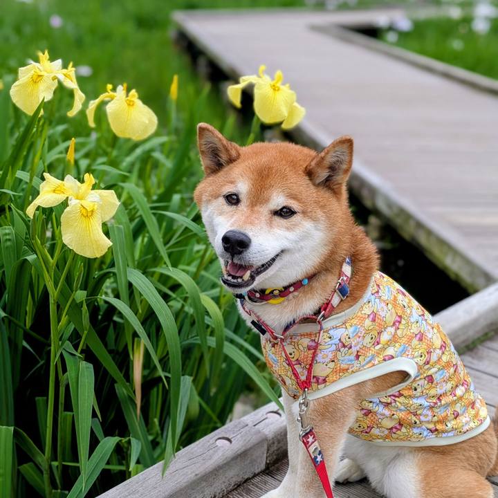 65b2e335 8671 451b b554 b9db4c237d3e 1748497462554