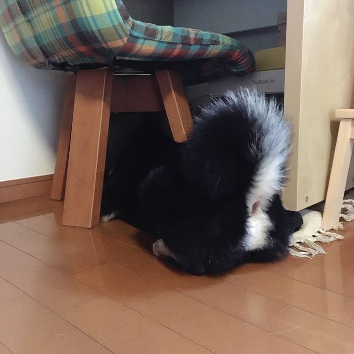 65b328d9 7991 419e 8eea ddeaec06c226 1534075029878