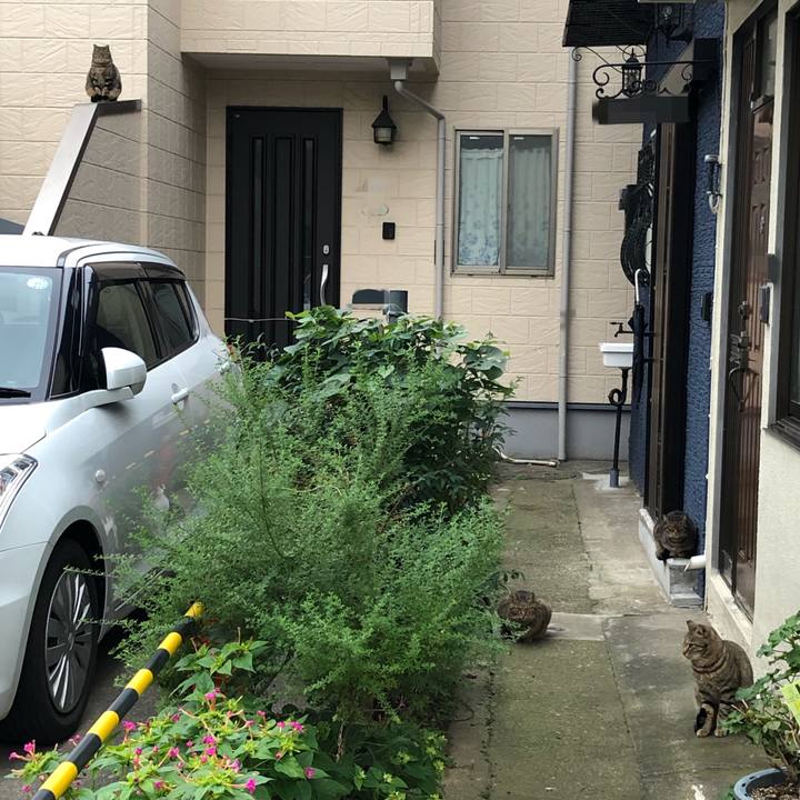 65b34168 28c3 4668 ac84 28b71d0c56f5 1542781908254