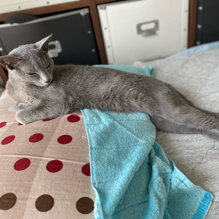 65b3551b 95d8 4989 8286 698b0ce5e97e 1680130997849