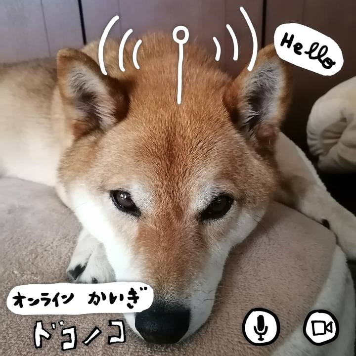 65b364ee 6247 456f ac43 29c0f4b6bf7b 1591019878900