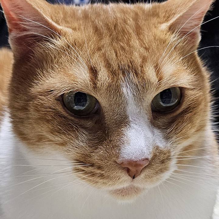 65b385d8 491c 4732 b965 4d6b1fca61d8 1774698286678