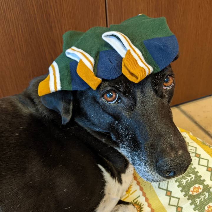 65b39f00 ef97 4968 92ea 83abf0373657 1685755578084