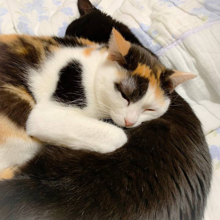 65b39f5a 2d03 4e71 8e3c 0261d8d58778 1561595431549