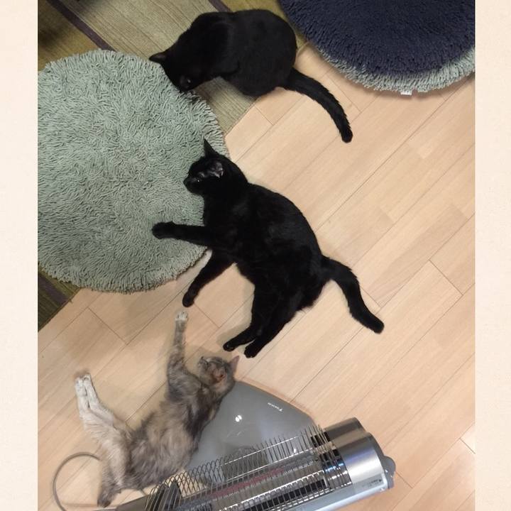 65b3cd93 fa17 4b89 9813 59c8f19b2b98 1512734609937