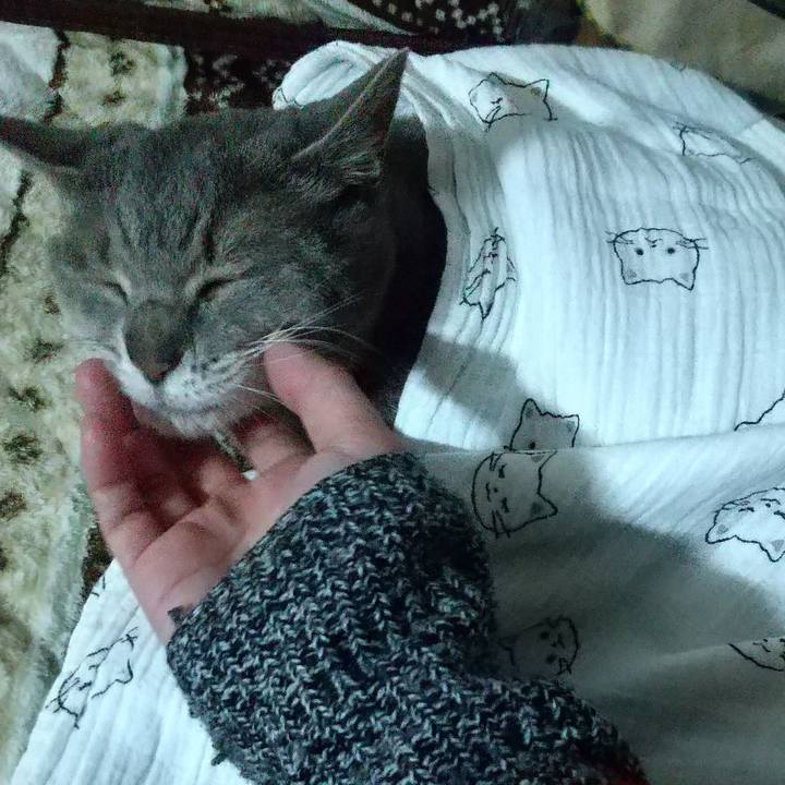 65b3d6fb 8d39 4390 ba53 3281a2b7c2a2 1675069389507