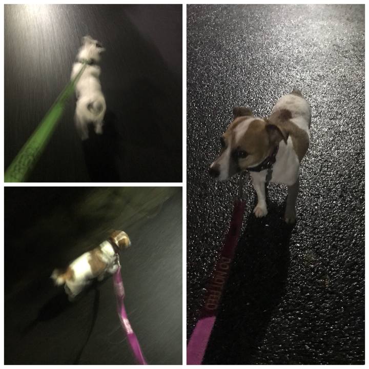 65b41bca 7a95 45c8 95f8 af6b49be4ecd 1536577909830