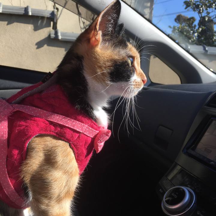 65b41bd3 00eb 44ff a8be a1e31cf1b82d 1519981432044