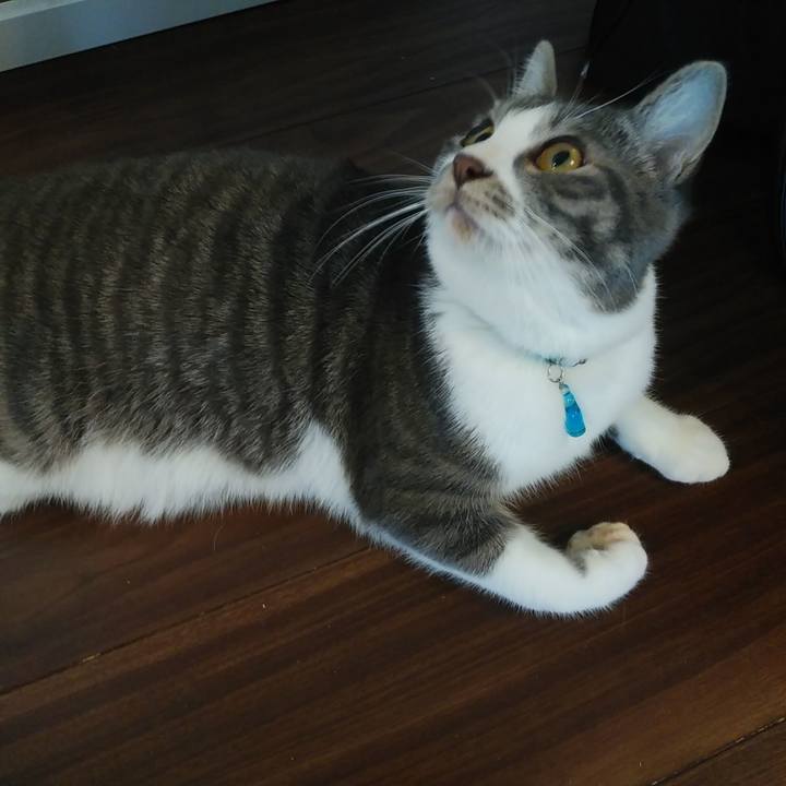 65b42929 d4d5 423e 8812 971fab4bd756 1578094044960