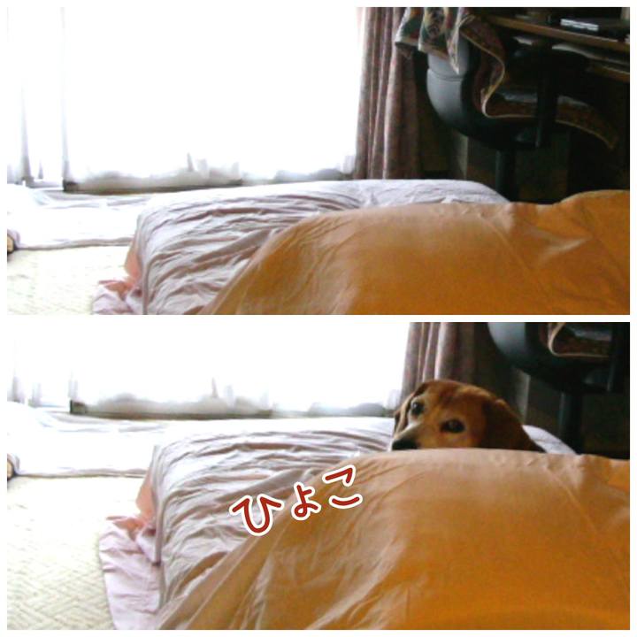 65b4406d d2fb 42be a343 1272d4464dae 1639011191496