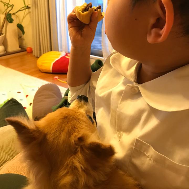 65b4766e 3f11 4088 aa97 395fe9104761 1511334683797