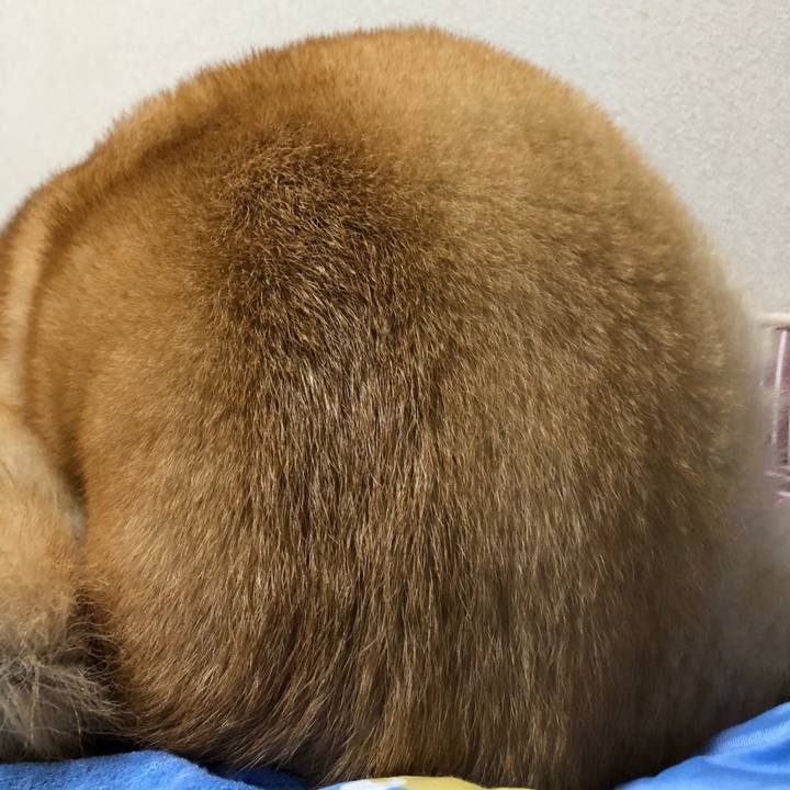 65b4b00c 4ad8 485b 96a0 c1e2be68e829 1568381788196