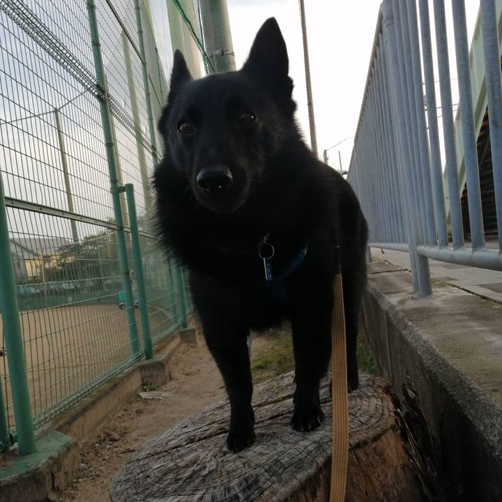 65b4be00 5552 472f a6ce b888fcc2b587 1635717730438