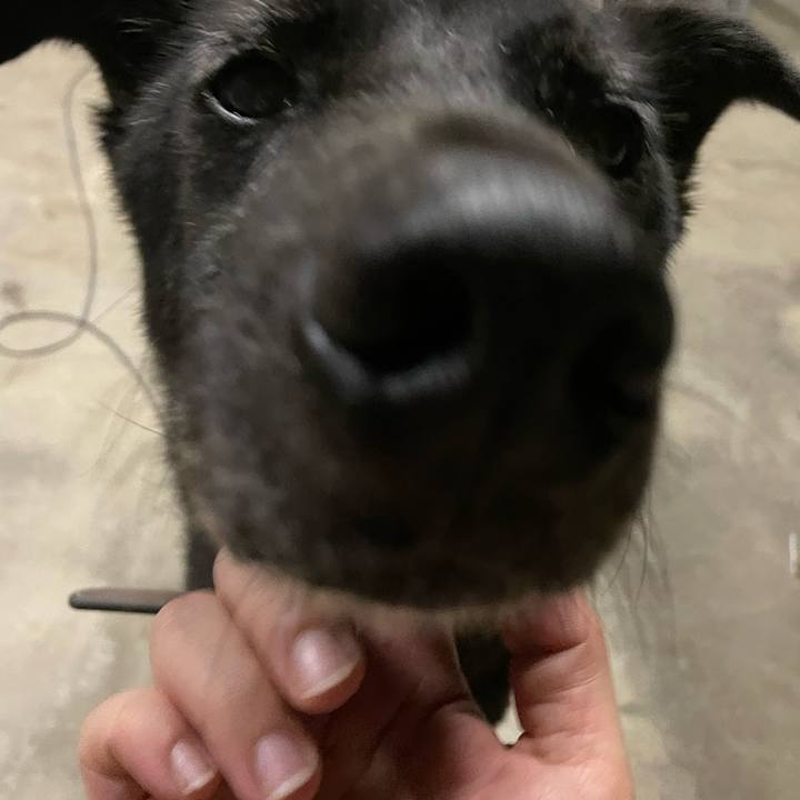 65b4cb54 a39e 4163 aac0 3b1704037a20 1661269105619