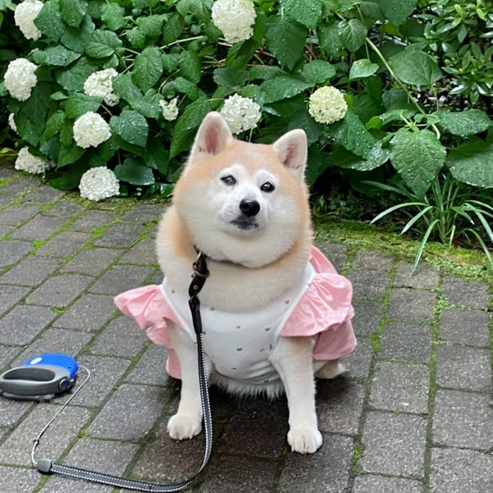 65b4d8ae 4cac 40d4 9195 25628c3b8d46 1655643587489