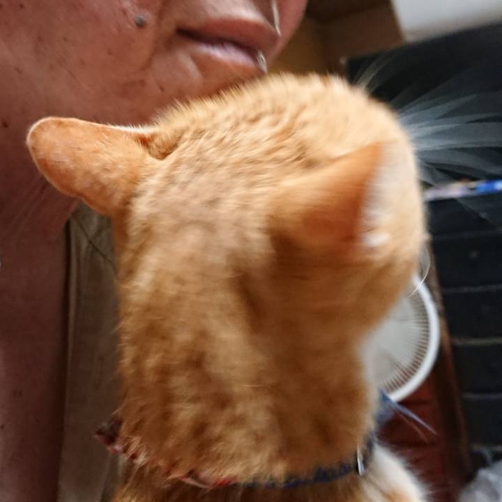 65b4f08a d131 438f ae8f ec730615cf4a 1599508528980