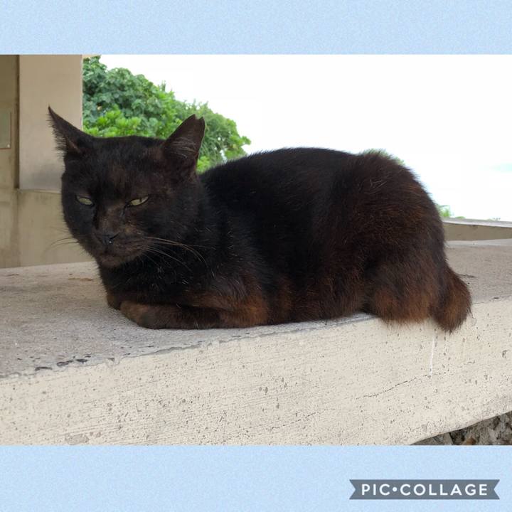 65b4facf 085c 473f ae62 e8f70c6bd07a 1543915798526