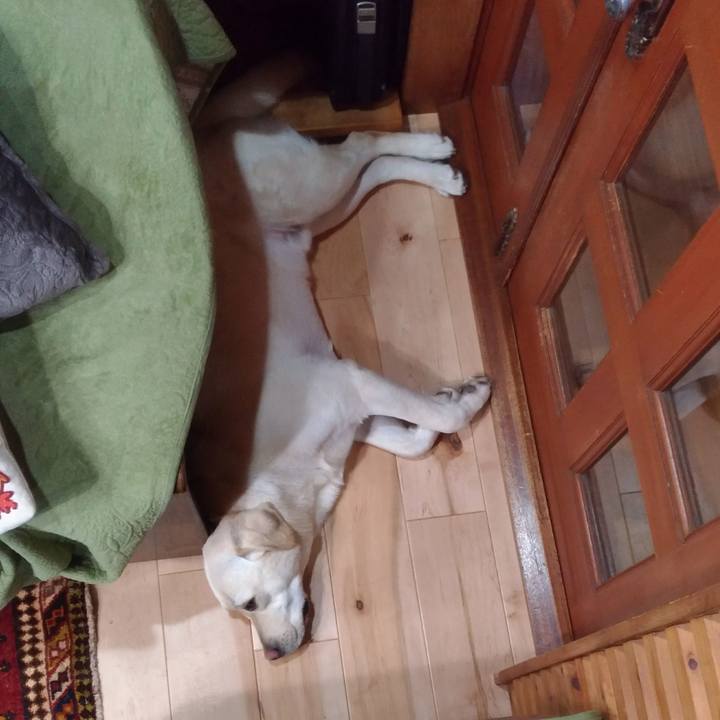 65b501b4 ee5a 4a05 865e bec3545a9330 1518436108878