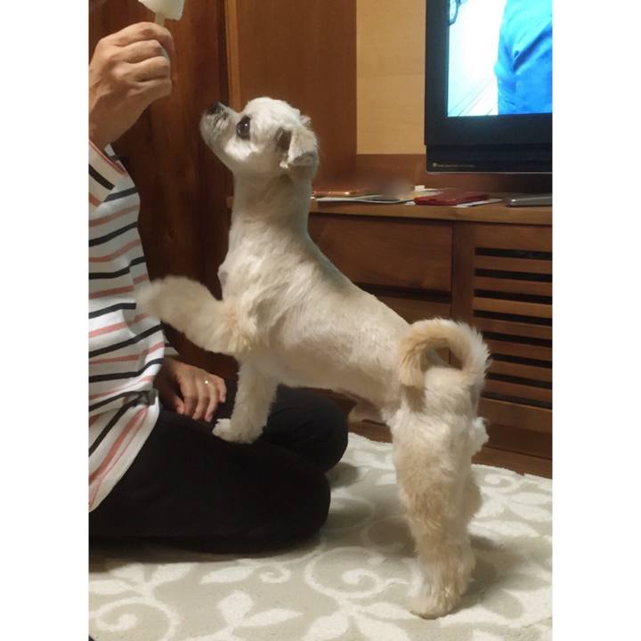 65b50a8f 1d21 4159 968e 20d4d0cbd7cc 1555762160193