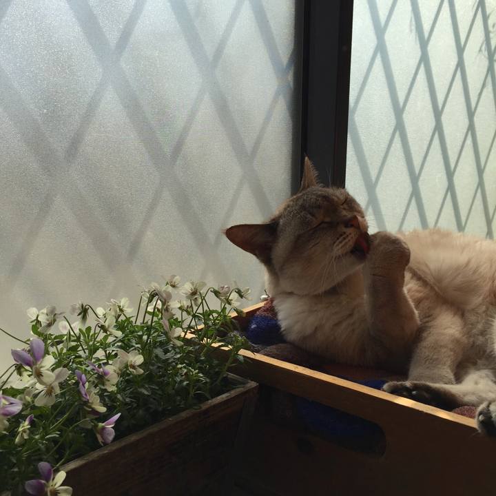 65b51902 59fd 46a7 a682 c71584908f1e 1551761138054