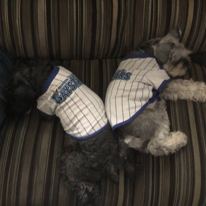 65b52d98 43f6 4961 8a21 f7c31d27e299 1559973477521