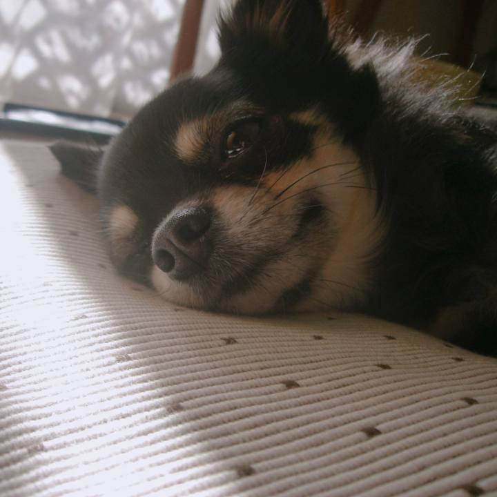 65b582e8 cf52 4b15 abd6 bf0ce9b38923 1569137231072