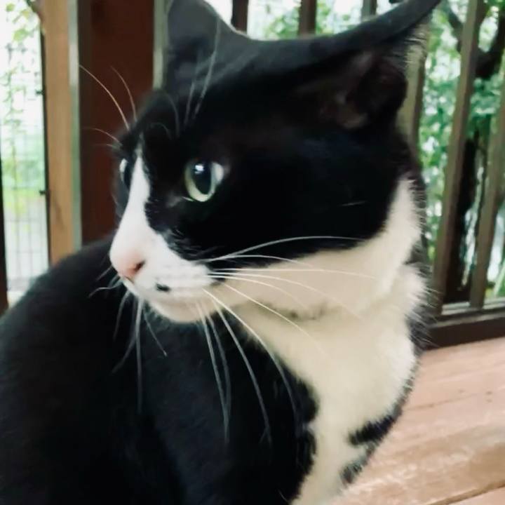 65b58c72 d385 48f4 b522 0dfc263cff63 1729566319448