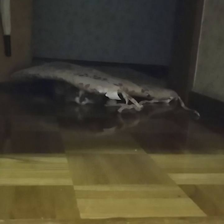 65b5b3b0 b400 4327 b524 4daa4870bb30 1562493798022