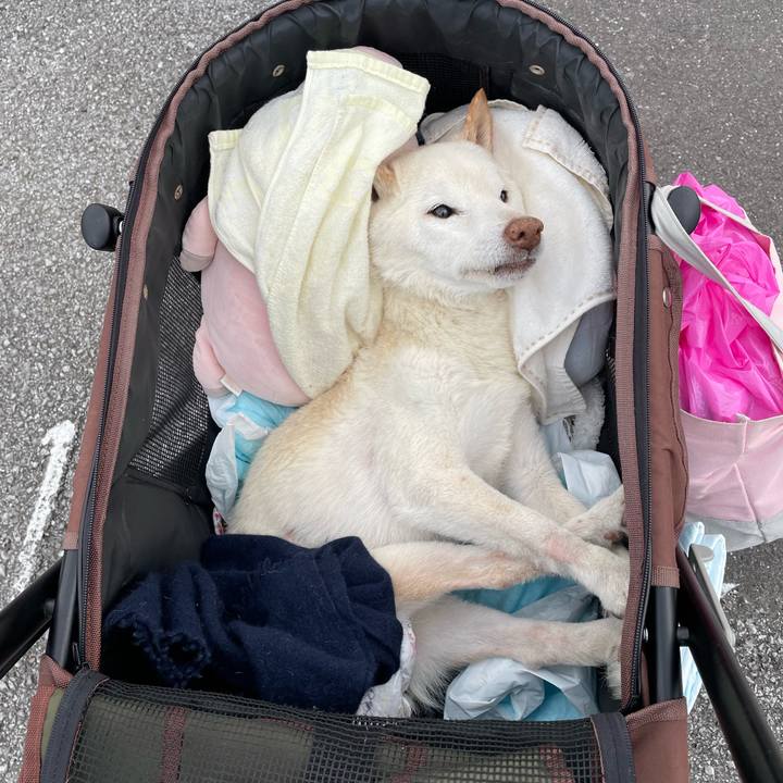 65b5e7dd 0cd9 4aaf af66 b9cac4043171 1680522212248