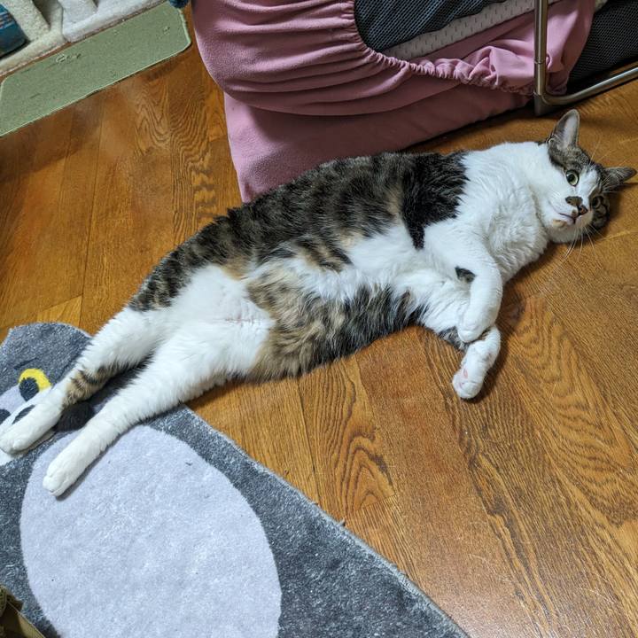 65b5e92e 1f6b 4383 93eb 7f018586cf93 1716465809549