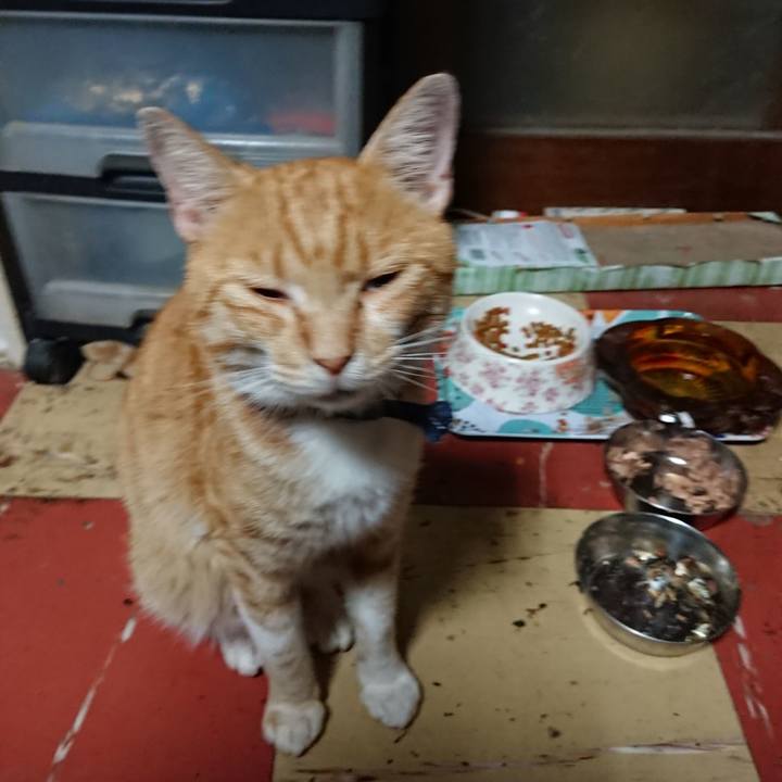 65b60cc1 ac93 4fc0 93ad 14c8811a9d7d 1563997769713