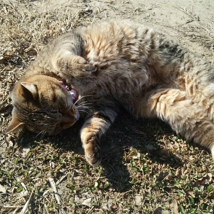 65b6188f 4756 4449 98bc b6630020e42b 1513677028897