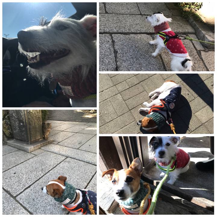 65b6903e 3855 421f a003 c22af7976798 1513484666114