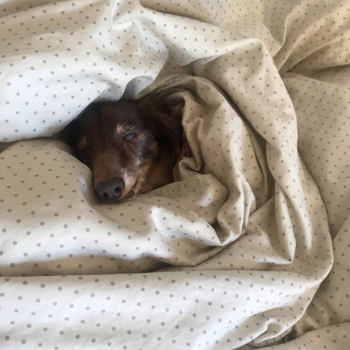 65b6a4d5 1a76 4736 8988 4be25137a856 1577585641033