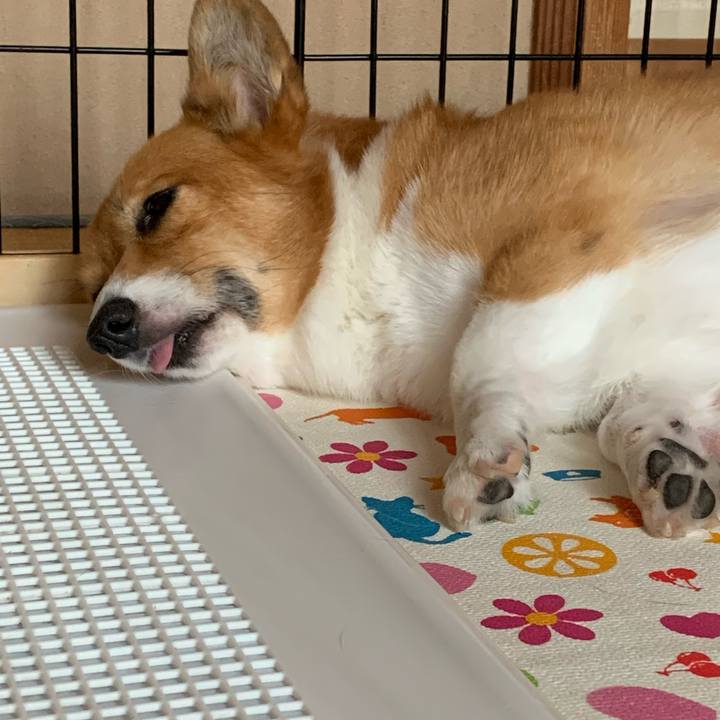 65b6ab48 57a0 43d9 8430 643b2c5a9182 1628919326129