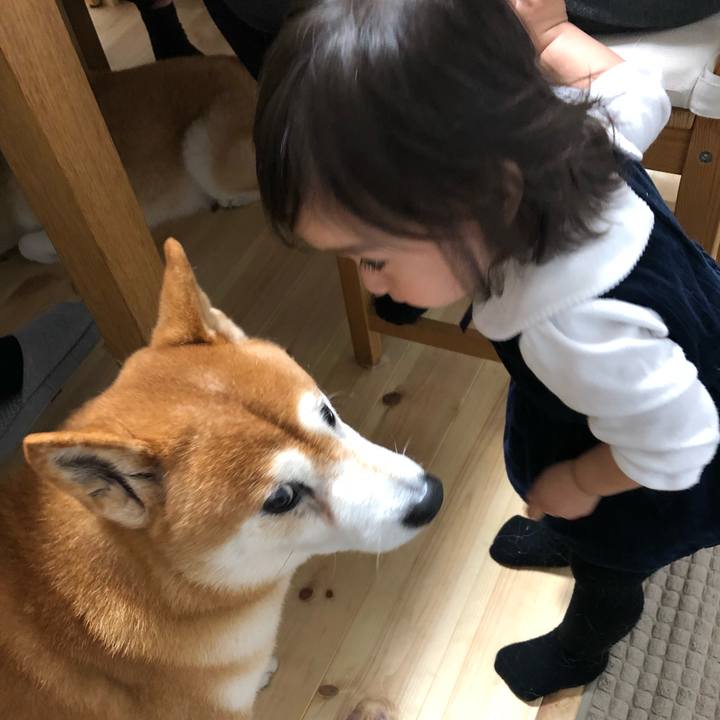 65b6ad1d 42cc 4874 9c63 e0dbee10ac19 1540699676599