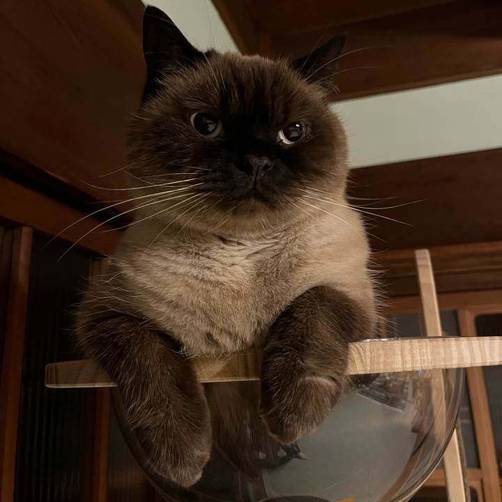 65b6e0a7 35d6 4e64 8bf9 666ee2199b98 1731674041560