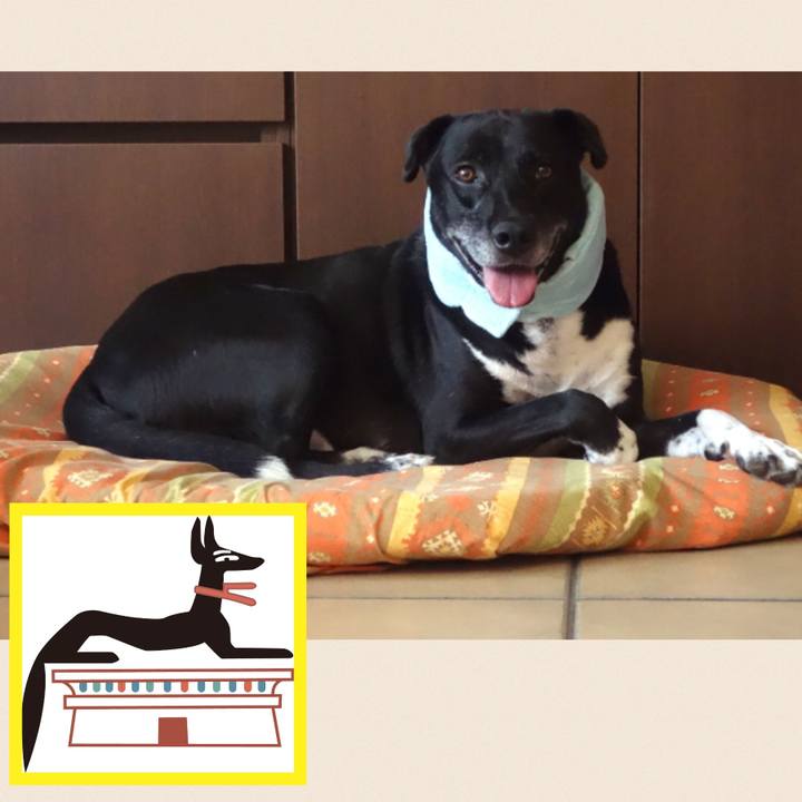 65b71922 7733 47f6 8b81 9c80fdc86b20 1689471681821