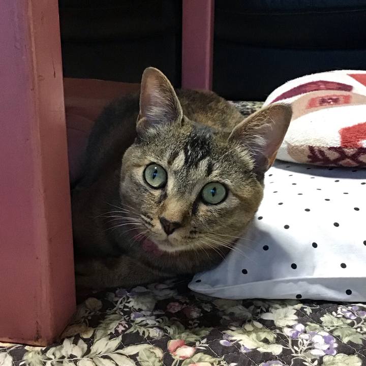 65b7246d d989 4e49 8202 30474dc899dd 1594092804288