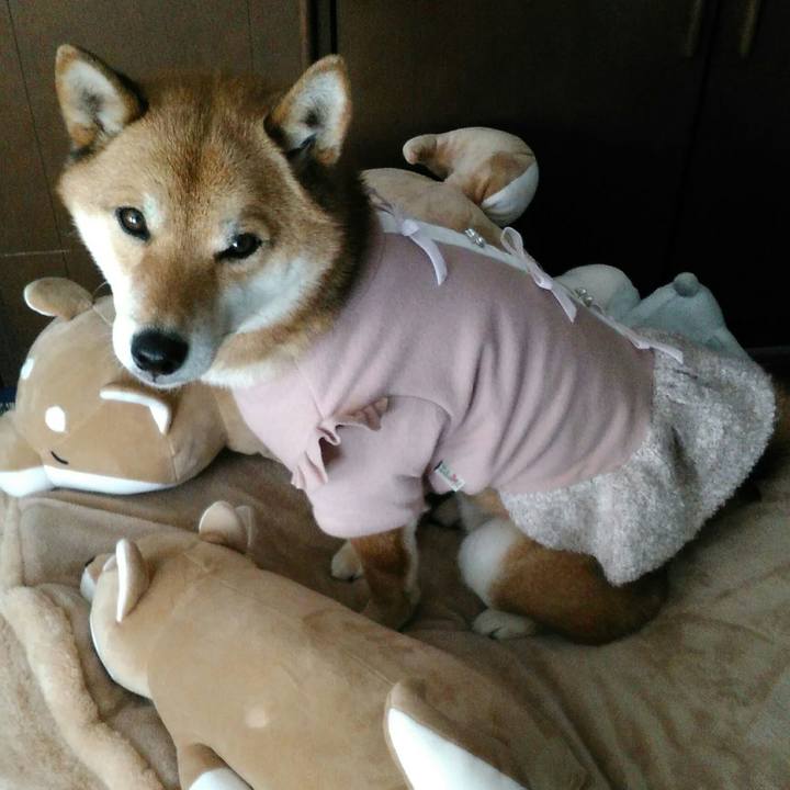 65b75437 921e 4b6b 88a1 d94a252b59c0 1517040102701