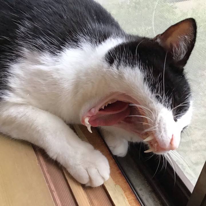 65b75dc4 826e 4561 af0e 1351f4f84f61 1722852981517