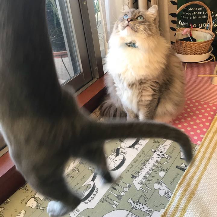 65b76878 8c53 4446 8c40 845259d4ed96 1518407025559