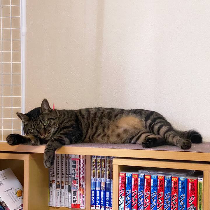 65b772e1 0bbc 4343 86ba 2b4e54d87749 1625450403789