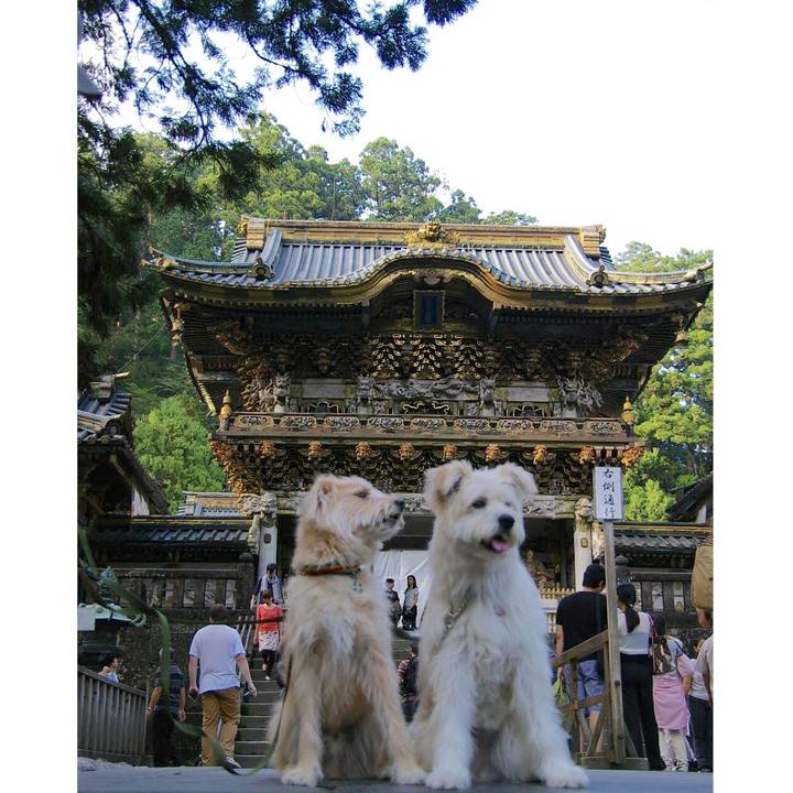 65b7c99d f476 4a37 8862 12246ac99f12 1543636440250